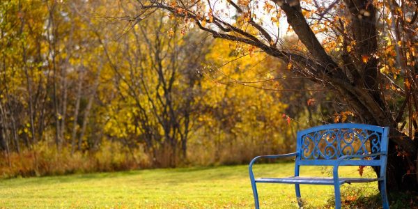 Victoria Haven Announcement