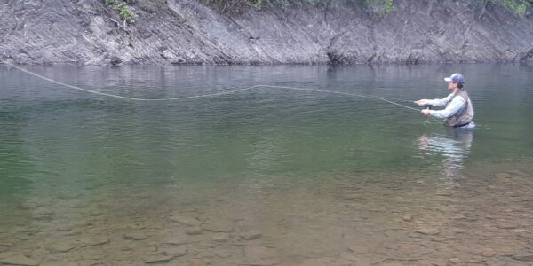 Better Late Than Never